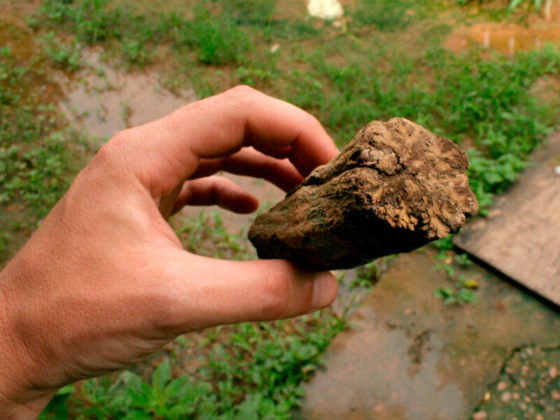 Ayahuasca Ceremony in the Peruvian Amazonia: A Transformative Spiritual Journey