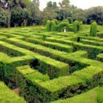 Barcelona Beyond the Center: Discovering the Labyrinth of Horta