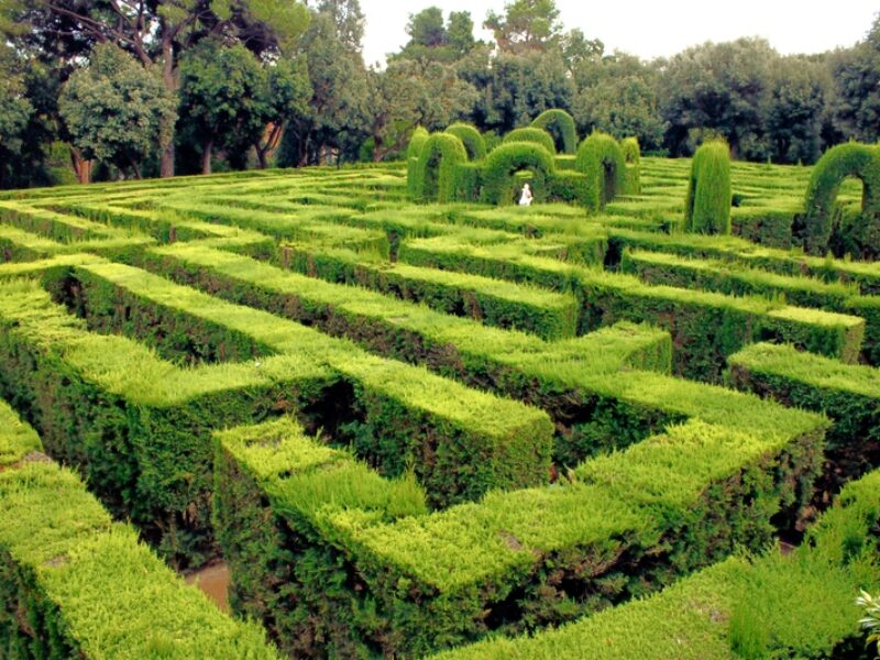 Barcelona Beyond the Center: Discovering the Labyrinth of Horta