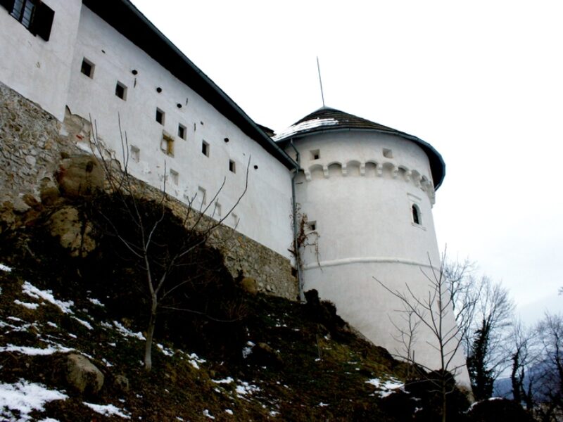 A Day in Velenje: Castle Museums, Ski Jumps and City Squares