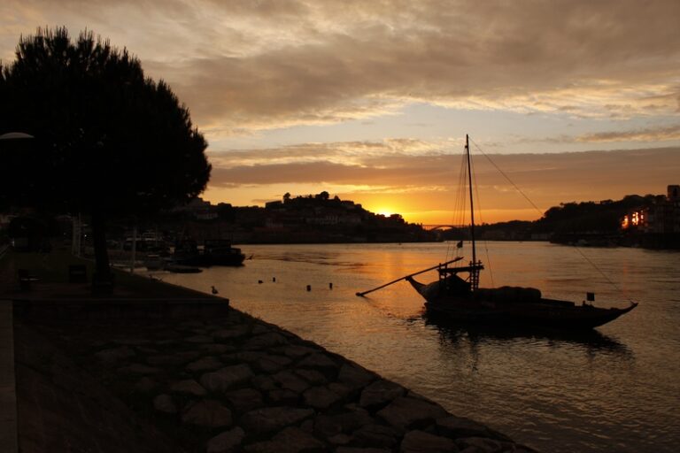 Journey Through Porto